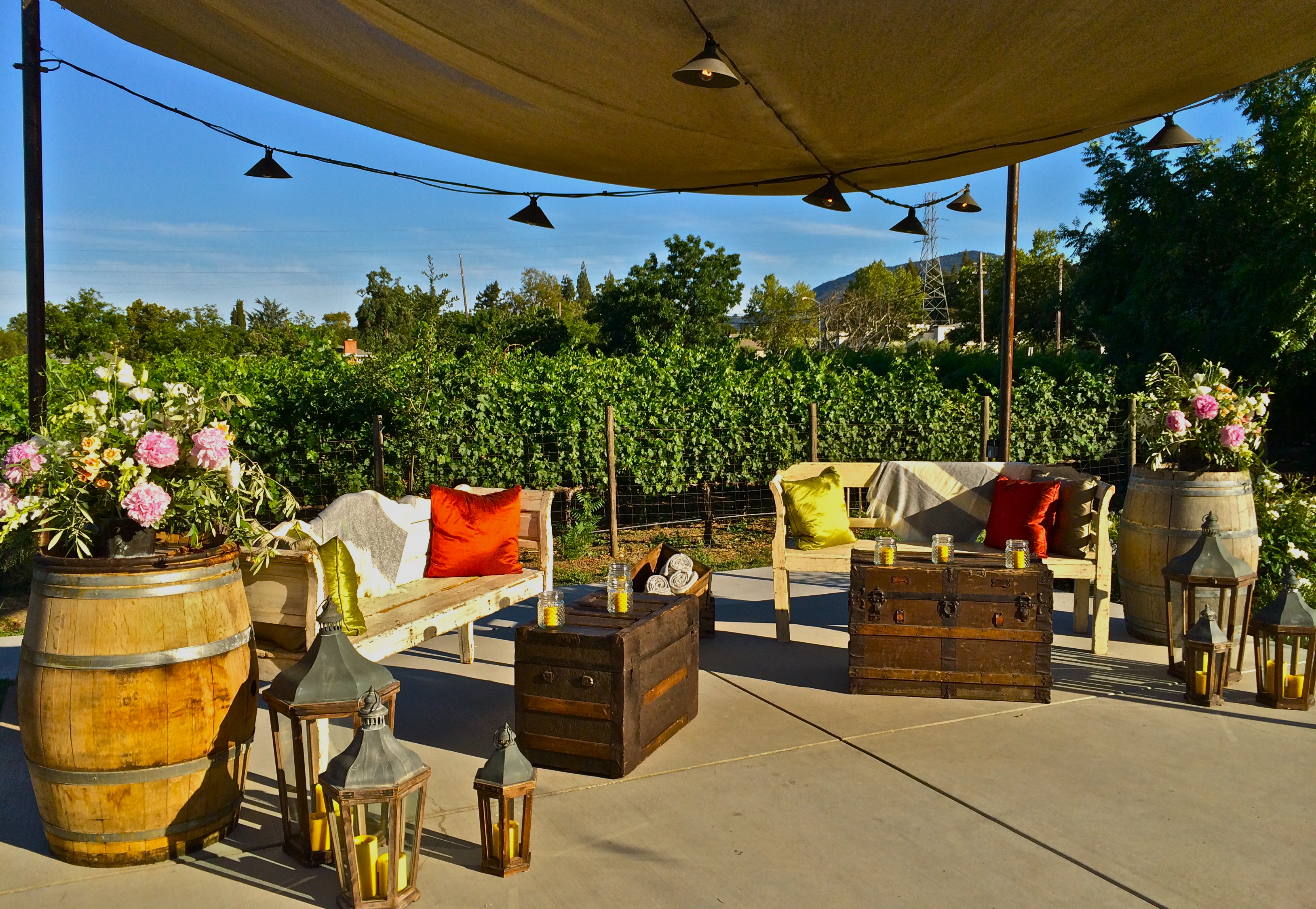 Lounge Vignettes-Vineyard Platform